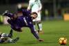 фотогалерея ACF Fiorentina - Страница 11 0d2220520177429