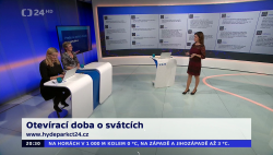 Obrázek