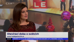 Obrázek