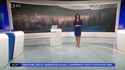 Obrázek