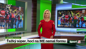 Obrázek