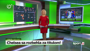 Obrázek