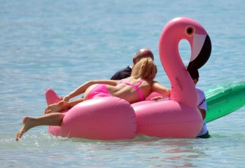 ImageBam image upload