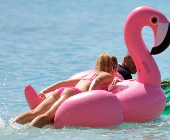 ImageBam image upload