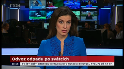Obrázek