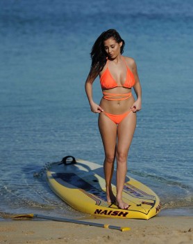 ImageBam image upload