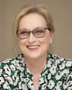   Мэрил Стрип (Meryl Streep) 'Florence Foster Jenkins' Press Conference by Armando Gallo, July 11 2016 (43xUHQ) 0ce39f524405832