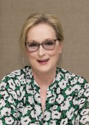   Мэрил Стрип (Meryl Streep) 'Florence Foster Jenkins' Press Conference by Armando Gallo, July 11 2016 (43xUHQ) 3ff31f524405027