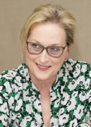   Мэрил Стрип (Meryl Streep) 'Florence Foster Jenkins' Press Conference by Armando Gallo, July 11 2016 (43xUHQ) 6e040b524405105