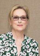   Мэрил Стрип (Meryl Streep) 'Florence Foster Jenkins' Press Conference by Armando Gallo, July 11 2016 (43xUHQ) 95f3ba524405135