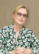   Мэрил Стрип (Meryl Streep) 'Florence Foster Jenkins' Press Conference by Armando Gallo, July 11 2016 (43xUHQ) B4e187524406131