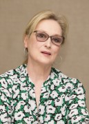   Мэрил Стрип (Meryl Streep) 'Florence Foster Jenkins' Press Conference by Armando Gallo, July 11 2016 (43xUHQ) C353a7524404996