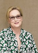   Мэрил Стрип (Meryl Streep) 'Florence Foster Jenkins' Press Conference by Armando Gallo, July 11 2016 (43xUHQ) C77fa1524405581