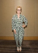   Мэрил Стрип (Meryl Streep) 'Florence Foster Jenkins' Press Conference by Armando Gallo, July 11 2016 (43xUHQ) Cbe0d4524406678