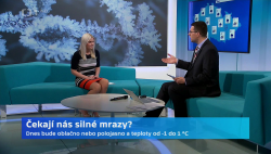 Obrázek