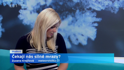 Obrázek