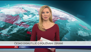 Obrázek
