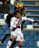 Фотогалерея Torino FC - Страница 6 6ef1fd525510243