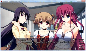 the labyrinth of grisaia hentai