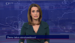 Obrázek