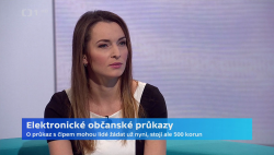 Obrázek