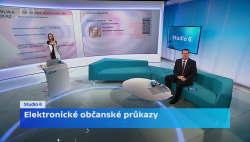 Obrázek