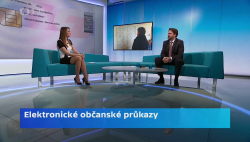Obrázek