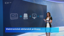 Obrázek