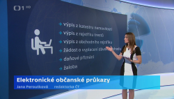 Obrázek
