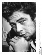 Бенисио Дель Торо (Benicio Del Toro) фотограф Robert Espalieu - 18xHQ E1f187526924679