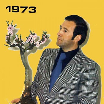 Ecco come inventai il Bonsai! 0b3dc7527824463