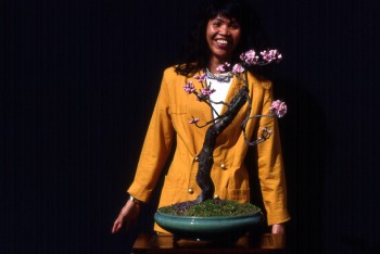 Ecco come inventai il Bonsai! 5412ed527824477