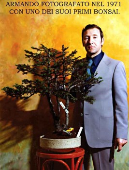 Ecco come inventai il Bonsai! 8cb3c8527824458