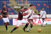 фотогалерея Bologna FC - Страница 2 F9c638528087378