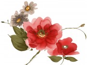 Flowers Clipart A45bf6528665710