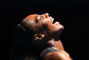 Серена Уильямс (Serena Williams) Australian Open Quarterfinal (Melbourne, 25.01.2017) (220xHQ) 87baab530468641