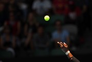 Серена Уильямс (Serena Williams) Australian Open Quarterfinal (Melbourne, 25.01.2017) (220xHQ) 1cff78530471279