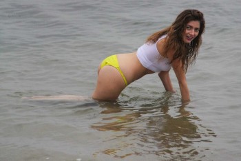 ImageBam image upload