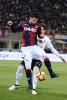 фотогалерея Bologna FC - Страница 2 F70f50532416260