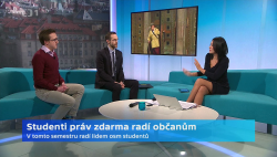 Obrázek
