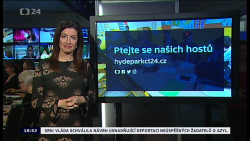 Obrázek