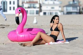 ImageBam image upload