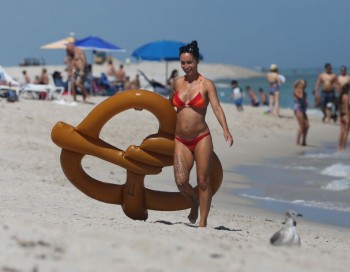 ImageBam image upload