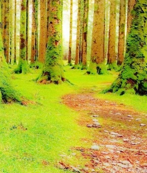 Forbidden places | Undertow Club