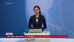 Obrázek
