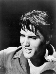  Elvis Presley NBC Singer - 68 Comeback TV Special 7db3c0537741860