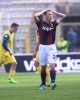 фотогалерея Bologna FC - Страница 2 C4f1b9539698561