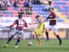 фотогалерея Bologna FC - Страница 2 C53c9b539698490