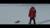 8 amici da salvare (2006) FullHD 1080p Untouched LPCM ENG DTS/AC3 iTA ENG