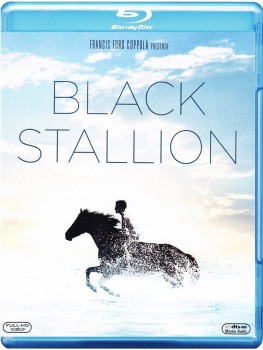 Black Stallion (1979) .mkv HD 720p HEVC x265 AC3 ITA-ENG